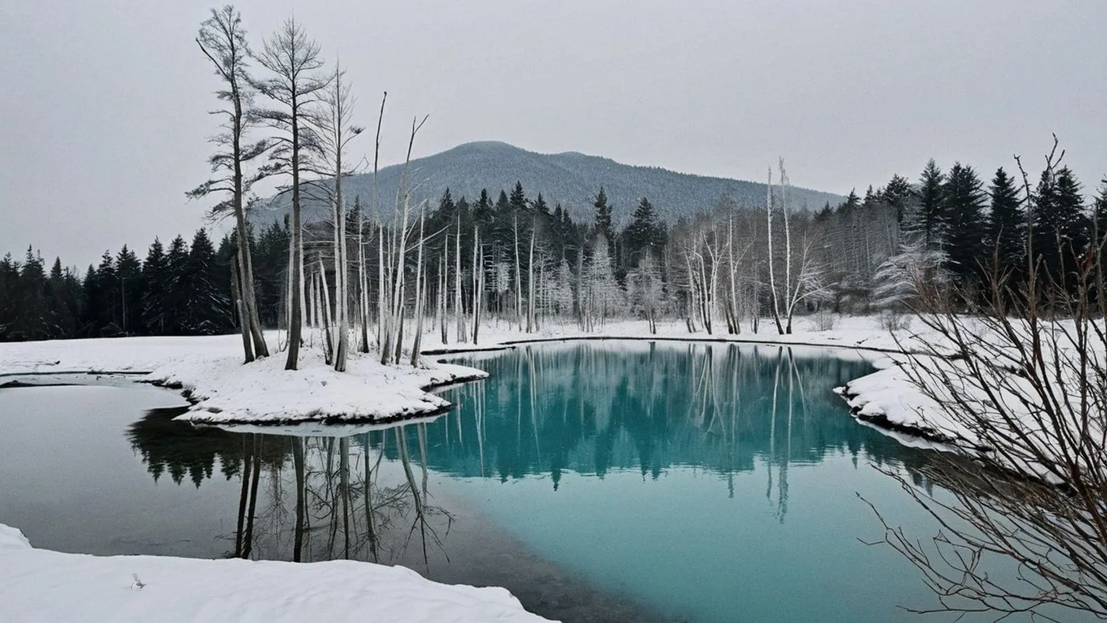 美瑛青池冬季湖景
